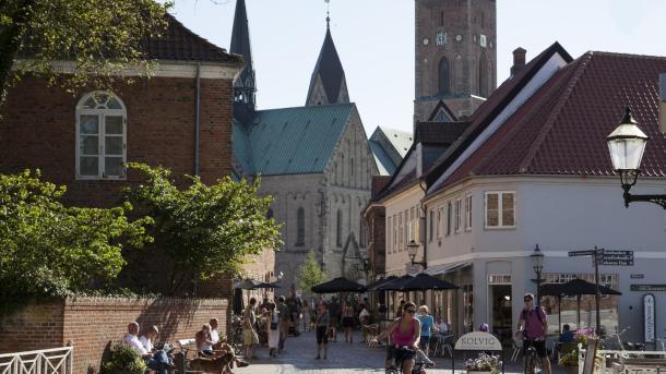 Ribe, la plus vieille ville du Danemark
