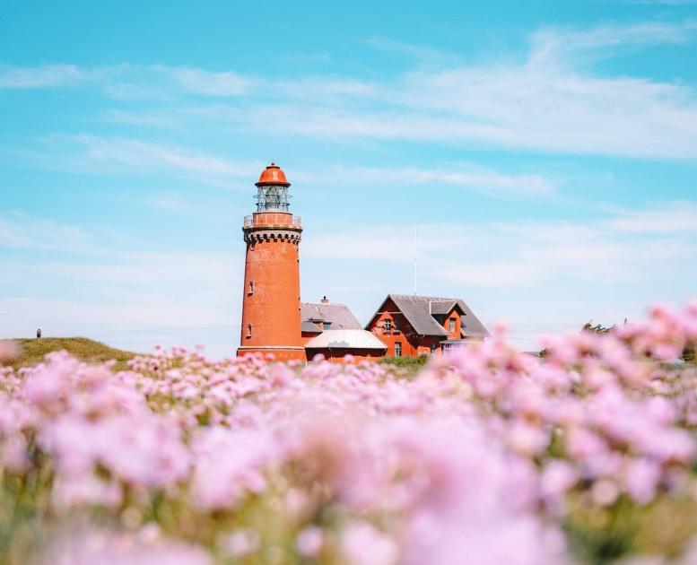 A lighthouse in a summer landscape full of flowers, bovbjergfyr, Denmark