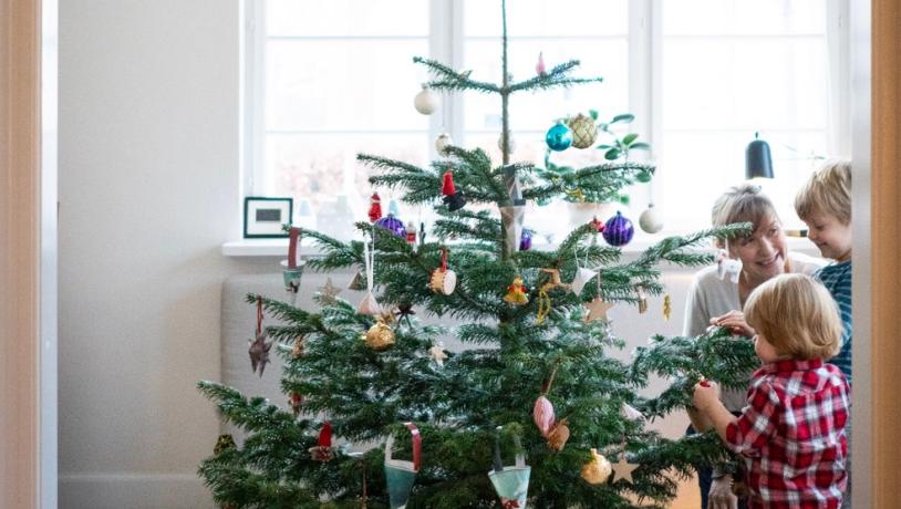 Familie dekoriert gemeinsam einen dänischen Weihnachtsbaum