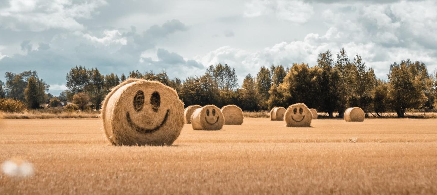 Smiling hay stacks on Fyn, Denmark