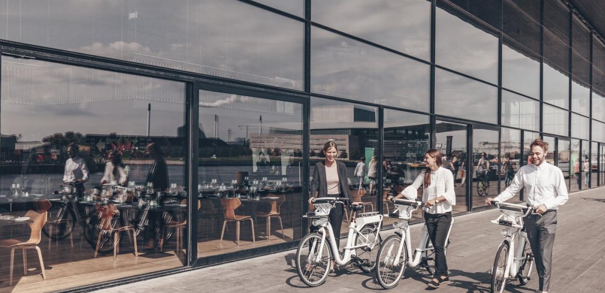 Cycling Copenhagen, Electrobikes
