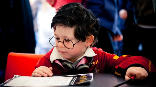 Harry Potter Festival