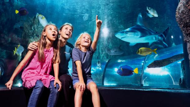 A family enjoying the Kattegat Centre aquarium