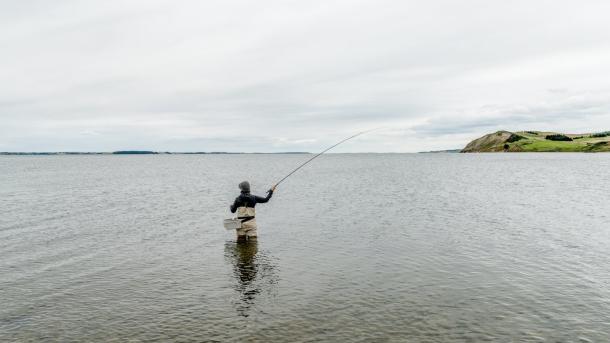 Fisher standing in the ocean, Mors, Northjutland