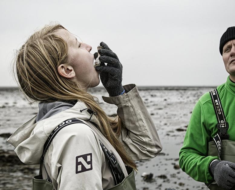 An girl eats a fresh oyster at the Wadden Sea National Park in Denmark