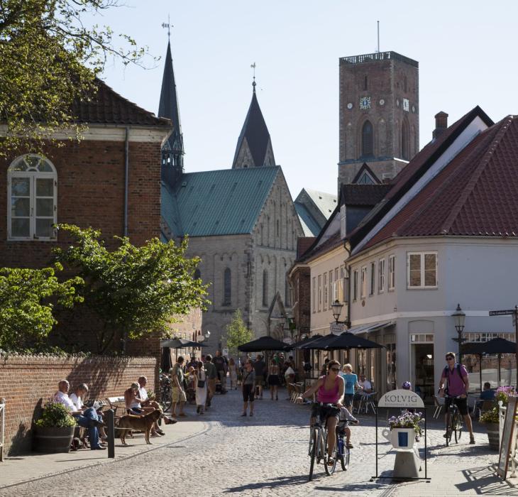 Ribe, la plus vieille ville du Danemark